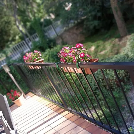Guest house Pergola Panzio 3*