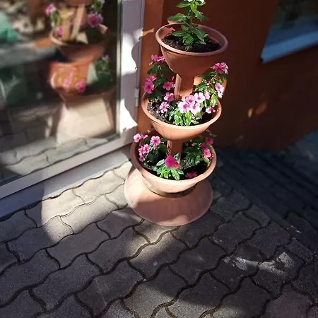 Pergola Panzió Vendégház